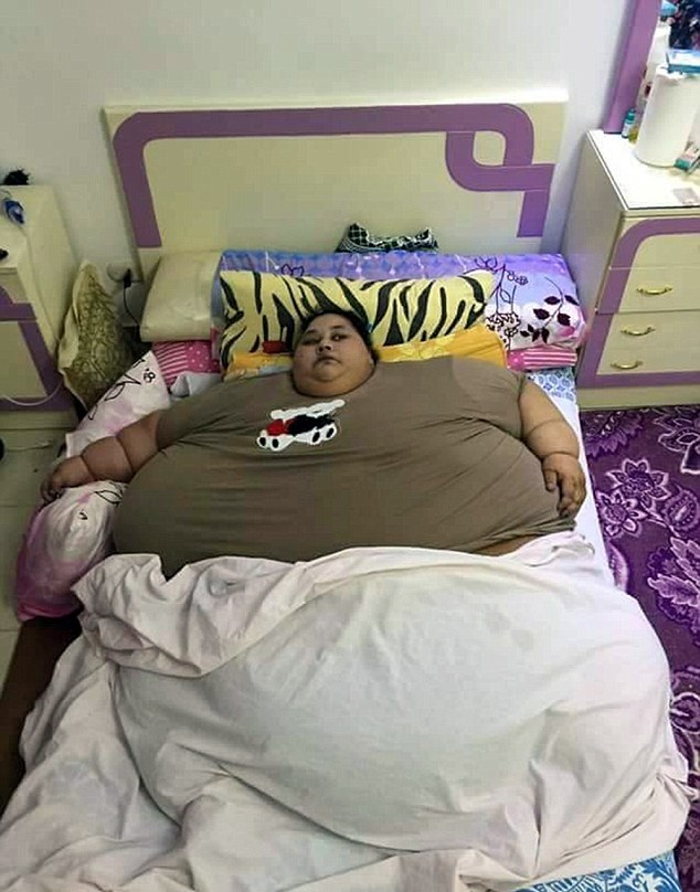 从羊煤土条到新能源之城：鄂尔多斯的城市转身